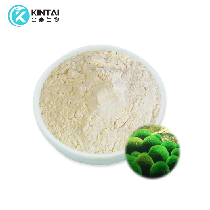 Powdwr Ffactor Twf Chlorella